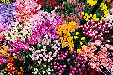 《怪物猎人崛起：曙光》发布新配信任务 可获得特殊随从武具